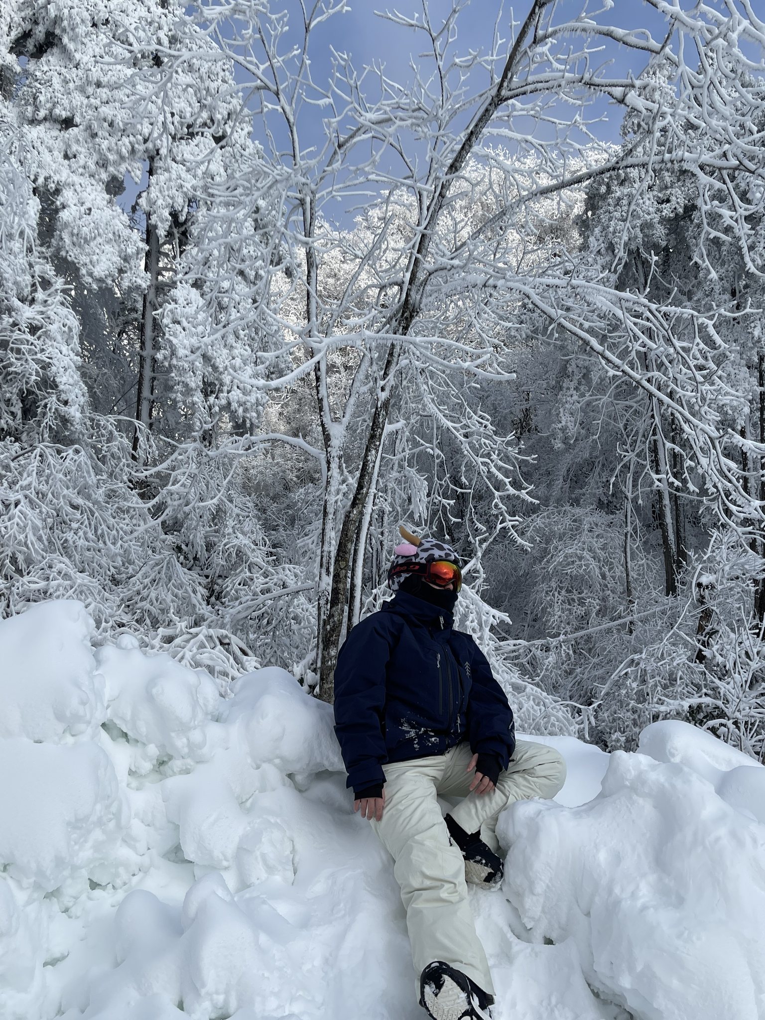 Une personne en tenue de neige est assise dans la neige épaisse sous des arbres givrés